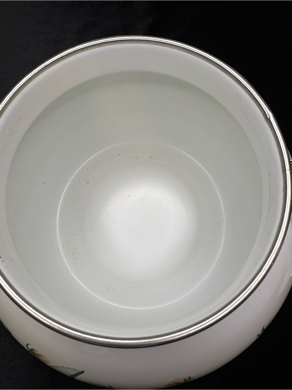 Kamenstein Teapot / White Enameled Steel/ Floral Pattern - Picture 5 of 10